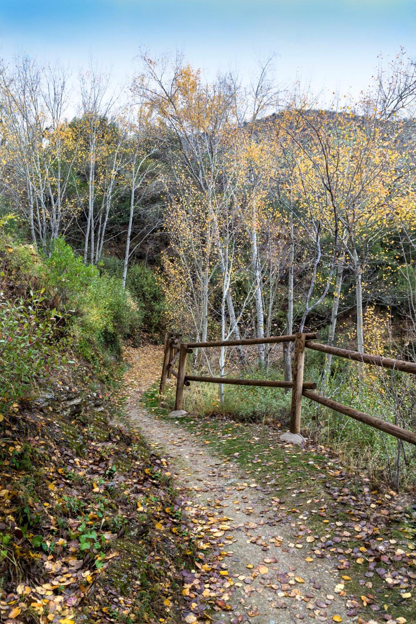 Reul Alto Cortijos Rurales