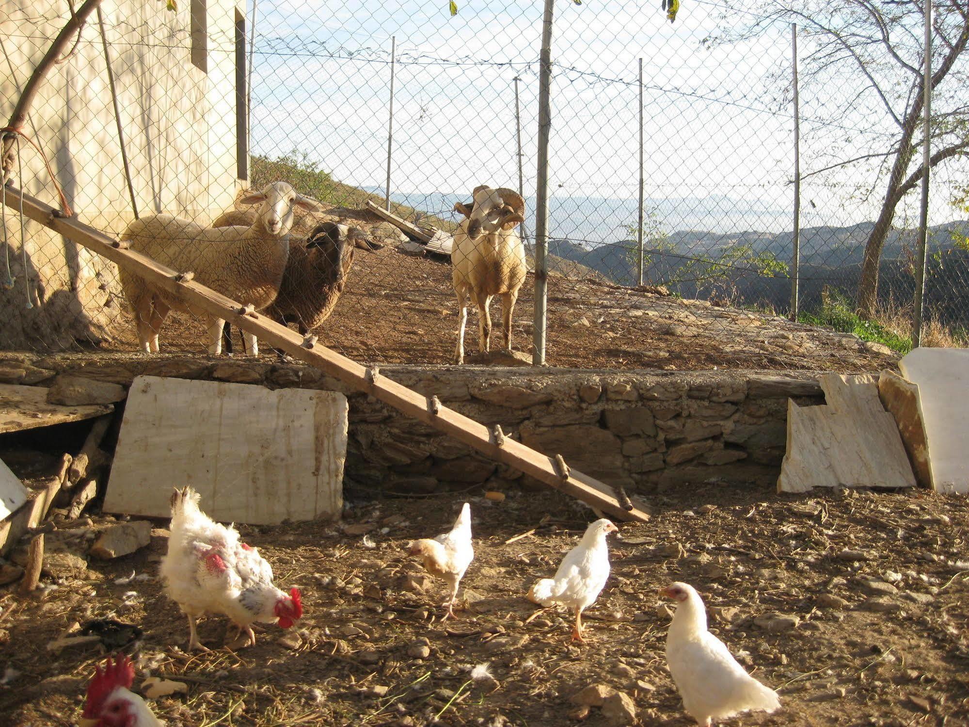 Reul Alto Cortijos Rurales