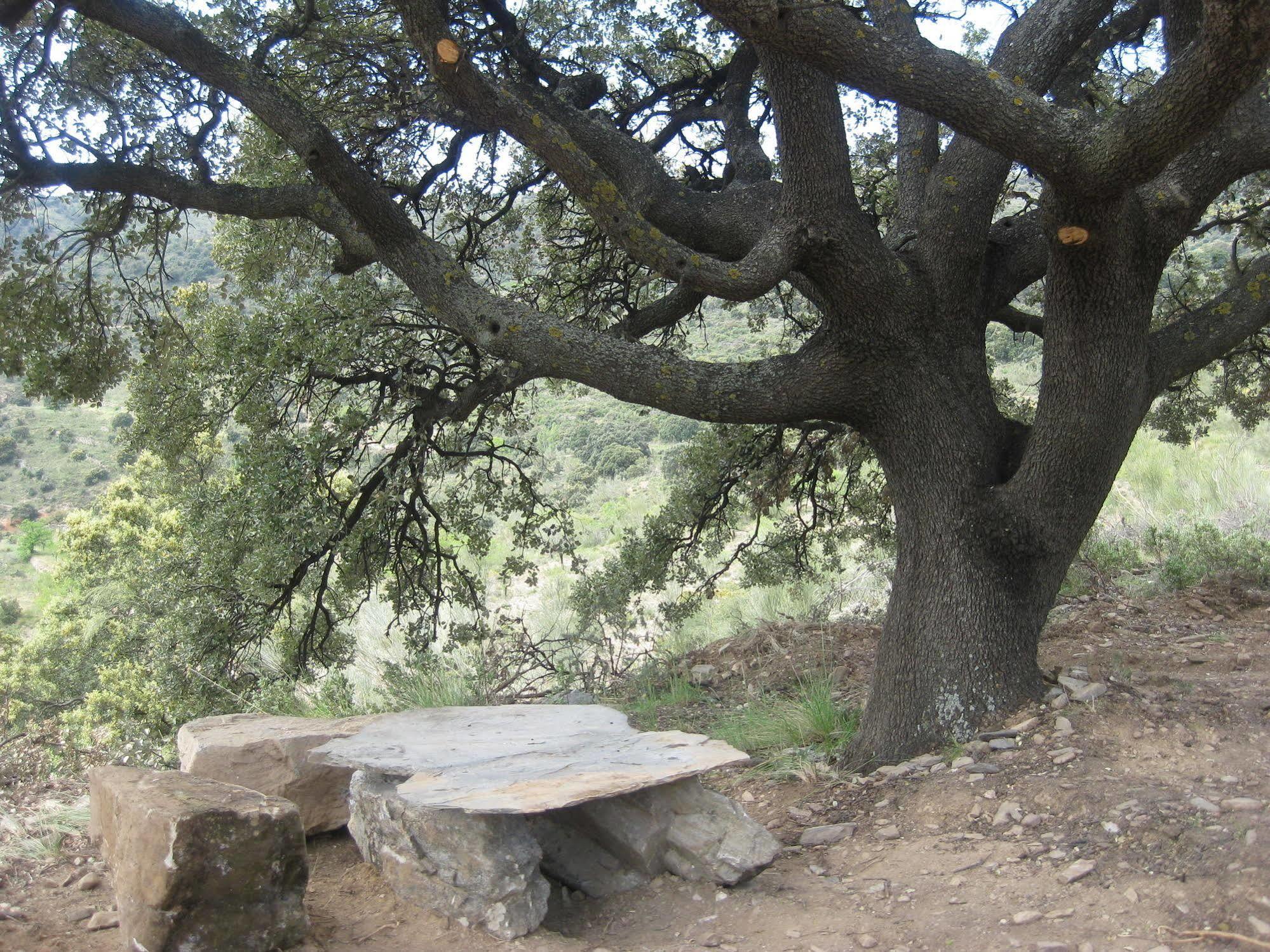 Reul Alto Cortijos Rurales